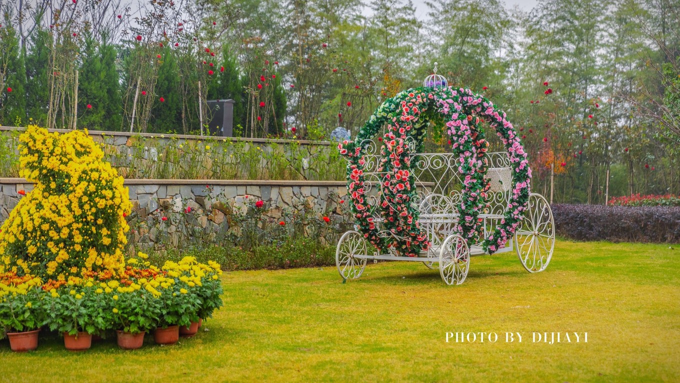 金坛花谷奇缘几月开花,金坛花谷奇缘地图