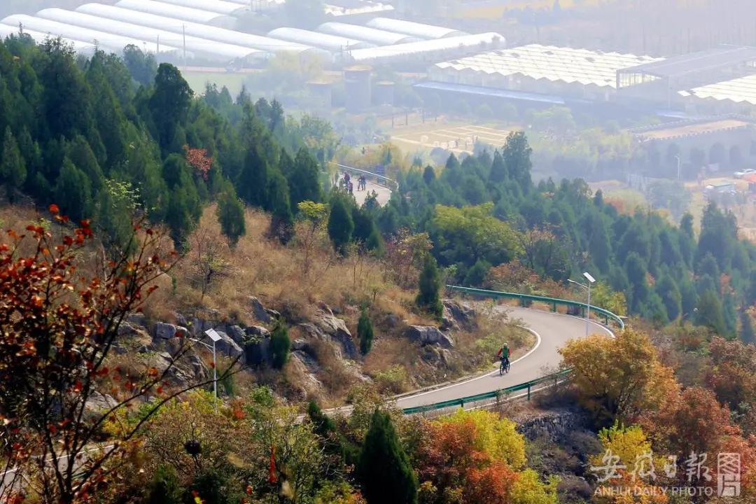 宿州秋色最浓的地方,宿州冬日游玩景点有哪些