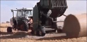 德国的认真和严谨,德国人的严谨和认真有多可怕