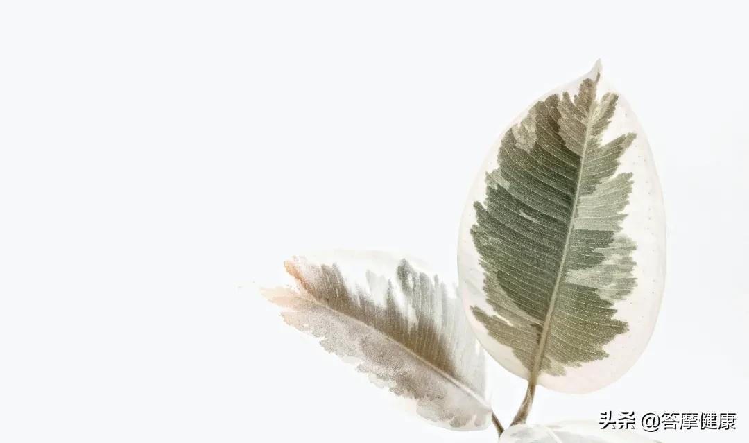 调理脾胃中药方张仲景,医圣张仲景调理脾胃的方子