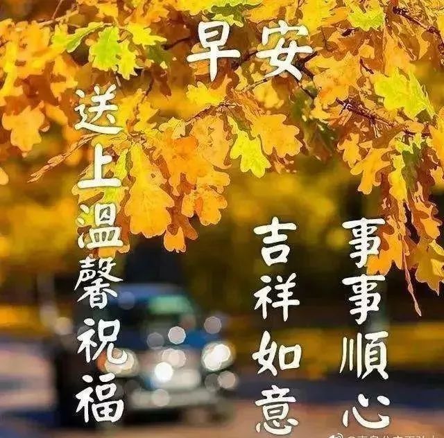 问好表情包｜生活就像一架钢琴：白键是快乐，黑键是悲伤。