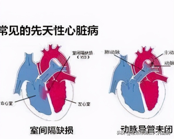 常州妇幼保健院胎儿心脏彩超,胎儿心脏超声常州哪些医院可以做