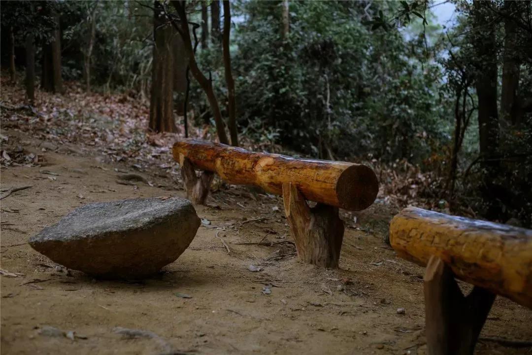 深圳首条手作“原始登山道”，人少好爬景色超美…过年去哪不用愁