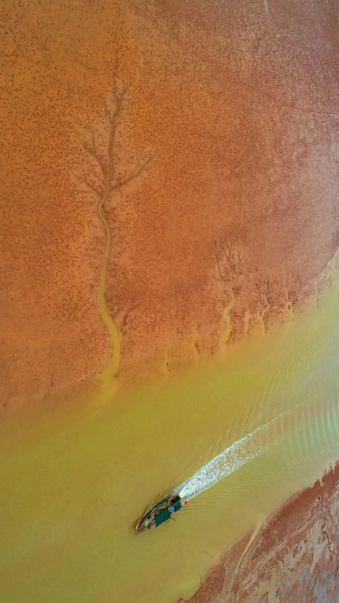 山东这两座小城，集齐了所有令人向往的美景，超级适合自驾！