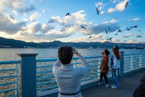 教培机构老师在工作中遇到的问题,教培机构的忠告