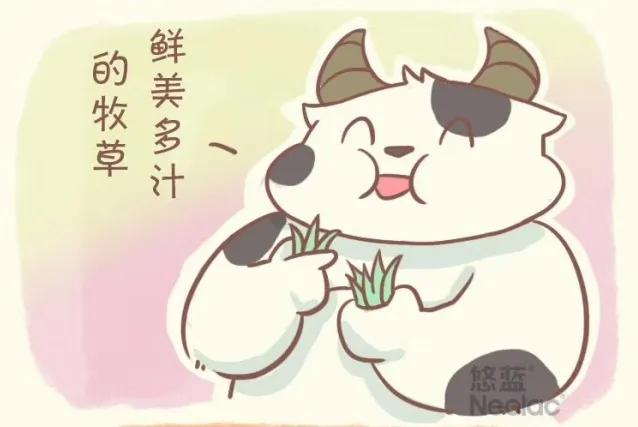 奶粉怎么辨别真假比较准确,奶粉怎么辨别真假的呢