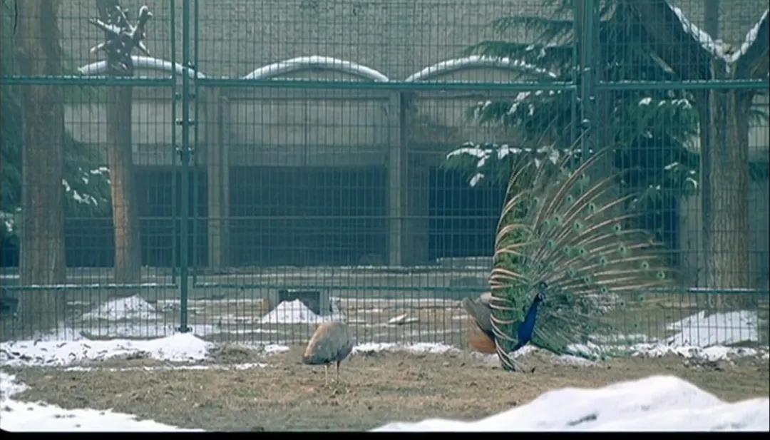 残酷的永远不是现实而是人心,残酷的不是人心而是生活