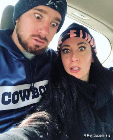 吉娃娃变胖之后有多可爱,吉娃娃十斤胖不胖