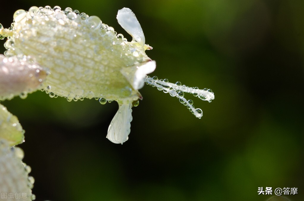 怎么调理脸上的暗黄,脸黄是什么原因该怎么调理