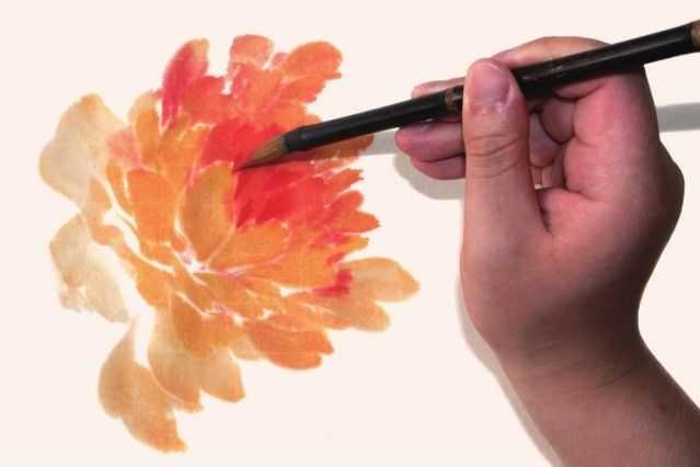 国画牡丹和石头的画法图片,初学国画牡丹花头画法图解