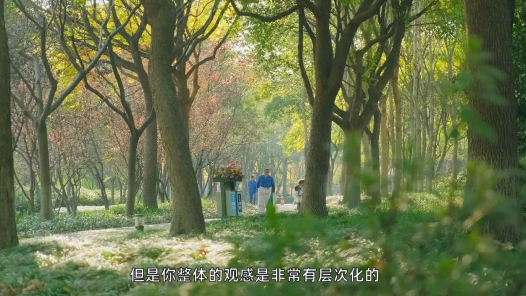 上海七宝板块的房子值得投资吗,房地产板块上海