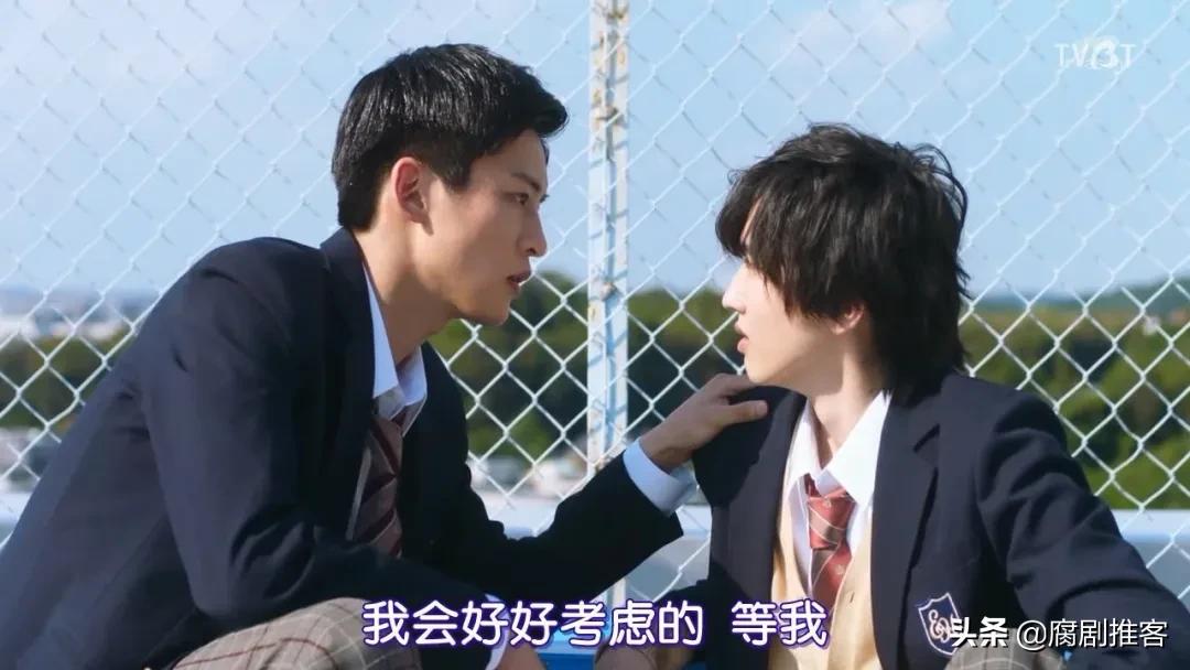 今年最好的日本纯爱剧,最新上映的高分日本剧