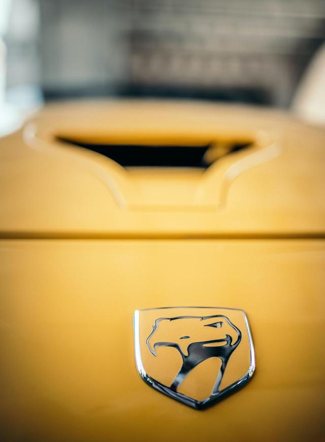 logo自己设计了怎么做出来,跨境电商logo设计字体怎么选