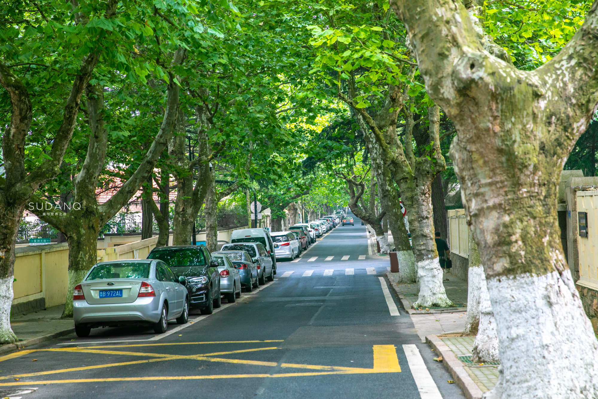 青岛是山东的省会,青岛经济超过山东的城市