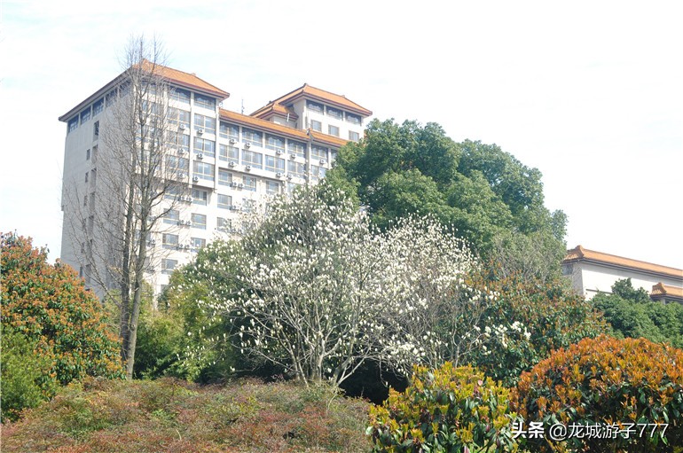 重游天一度假村,重游旧地去哪玩