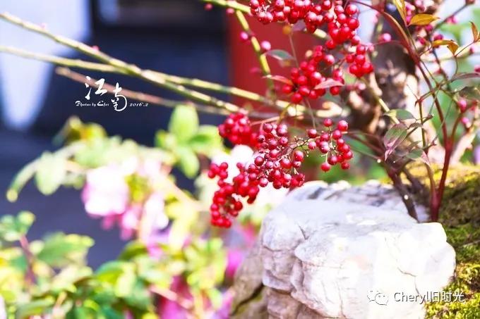 苏州旅游值得去的景点,去苏州旅游攻略最好的景点