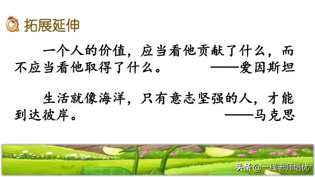 四年级上册豆荚里的五粒豆笔记,一个豆荚里的五粒豆四年级课文