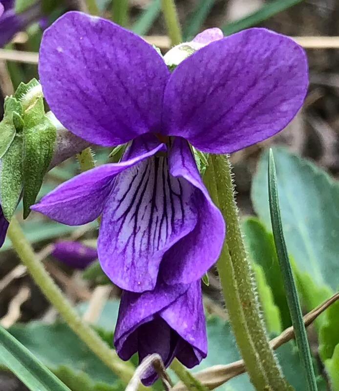 手拍世界,手拍世界作品专集