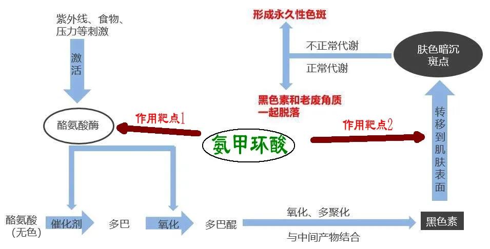长斑祛痘最好的护肤品,长斑长痘的适合什么护肤品