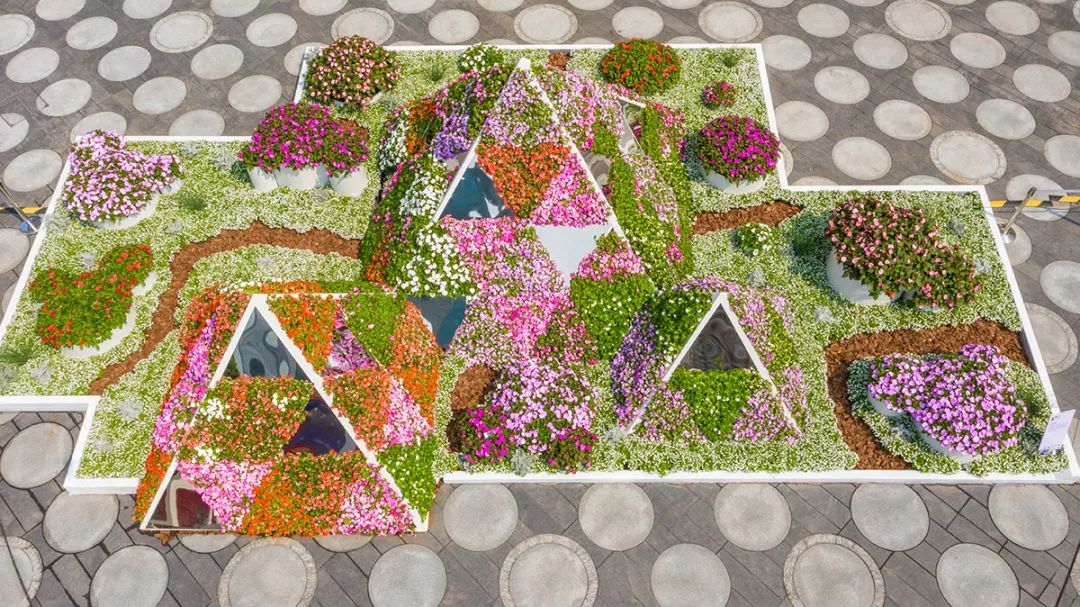 深圳花展2019年12月时间表,深圳第一场春天花展