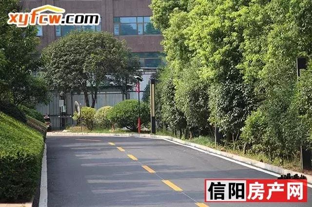 碧海名居是哪里,居繁华之上享盛世之景