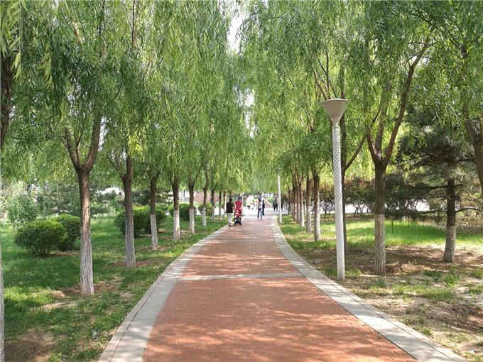 张家口经开区园区地址,张家口市经开区怎么样