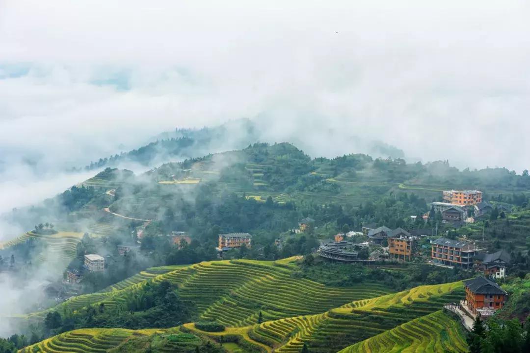 一个朝代一首诗带你看中国史,一个朝代一首诗吟诵中国史