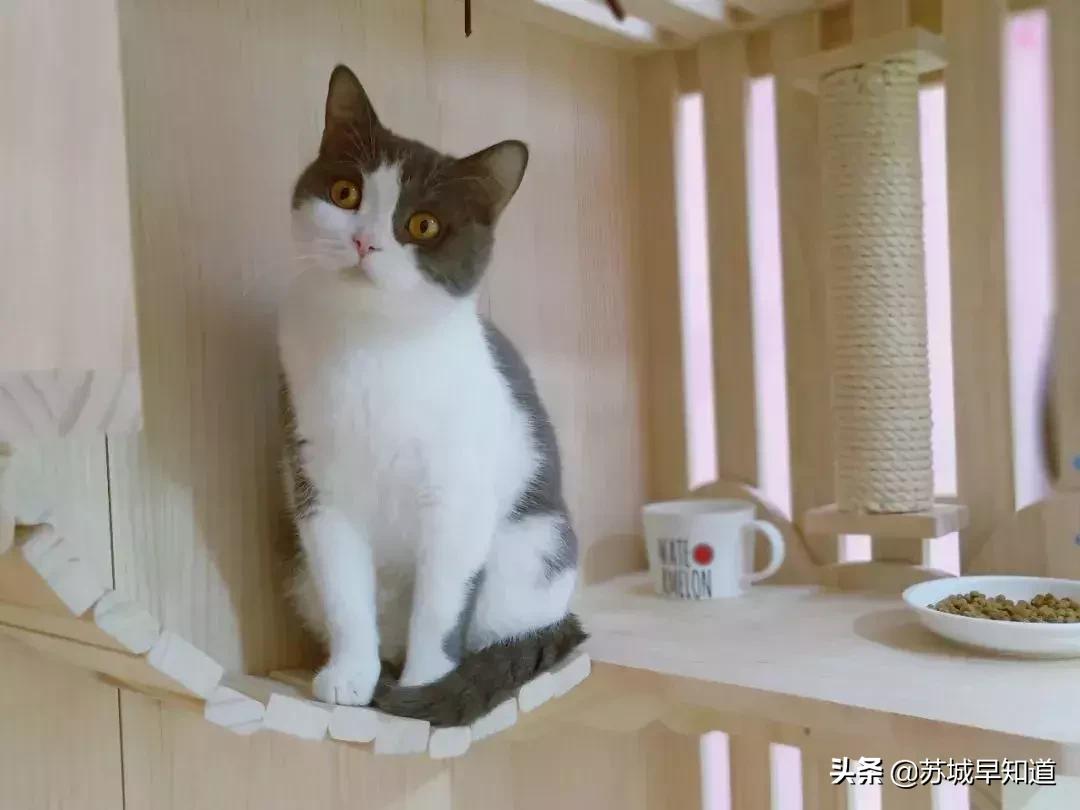 苏州市平江区万达广场,苏州平江万达广场