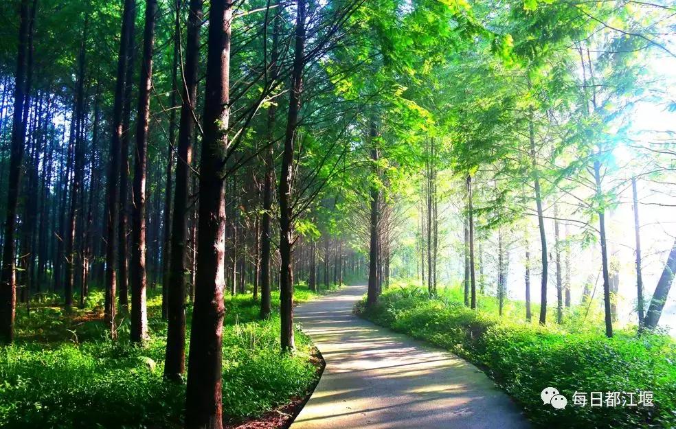 壮丽70年·奋斗新时代｜农村电商让都江堰农旅产品“香”起来！