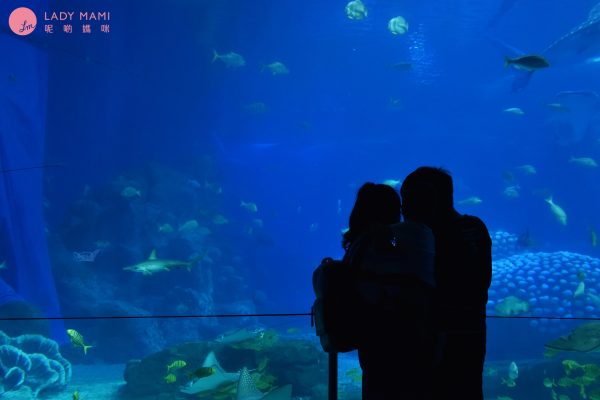 2022珠海长隆海洋王国旅游攻略,游客带你玩珠海长隆海洋王国