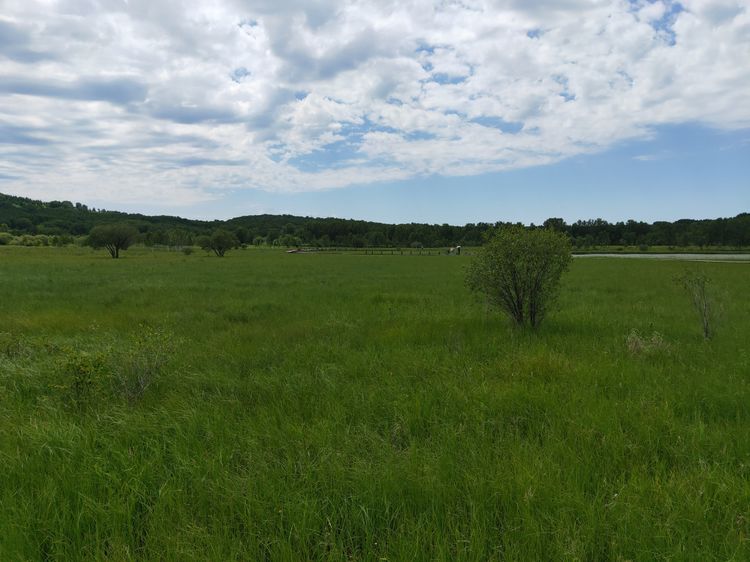 美丽的高岭塞罕坝,美丽的高岭朗诵
