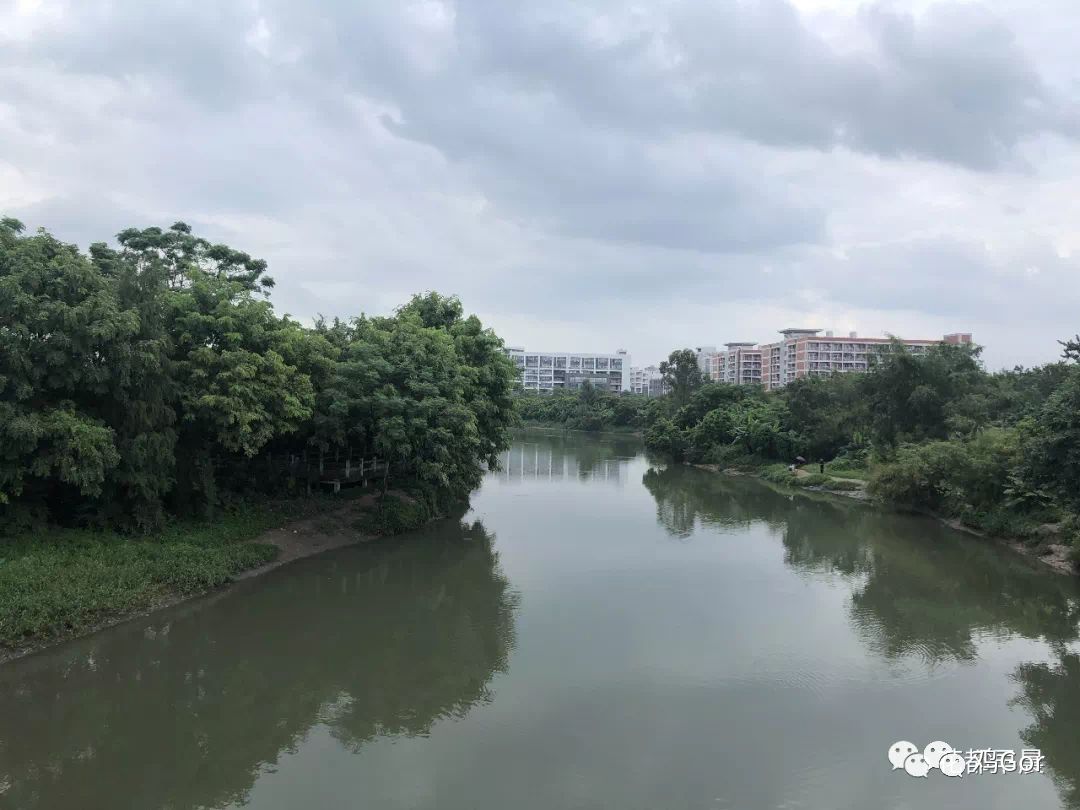 花都东镜村旧改2023计划,花都旧改重点