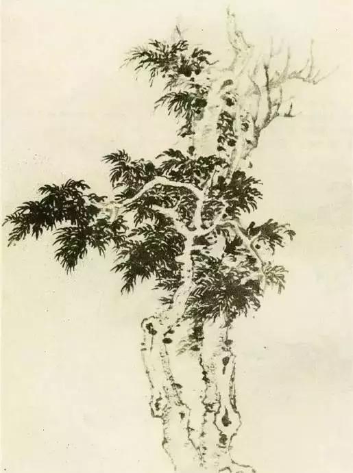 怎么画树最简单而且还最好看,怎么画树才更真实