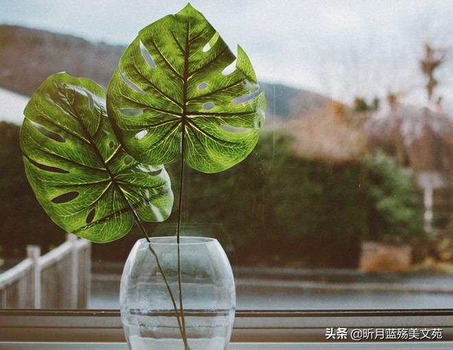 惟愿时光静好余生浅笑安然的图片,时光静好浅笑安然纯音乐