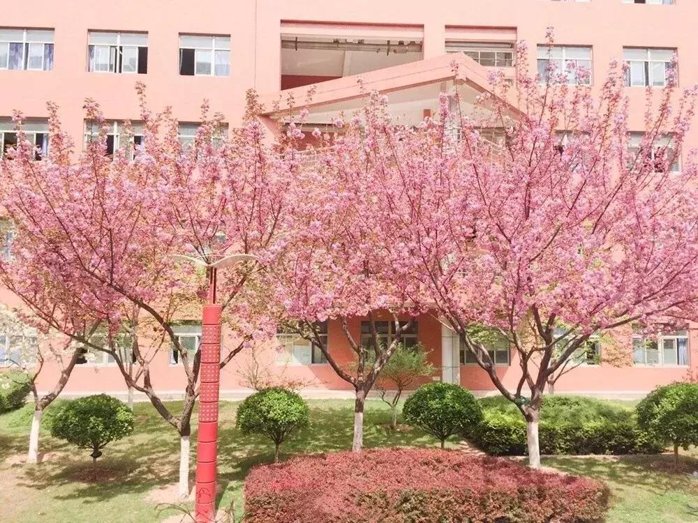 西安最难进十大中学排行榜,西安十大最差中学排名