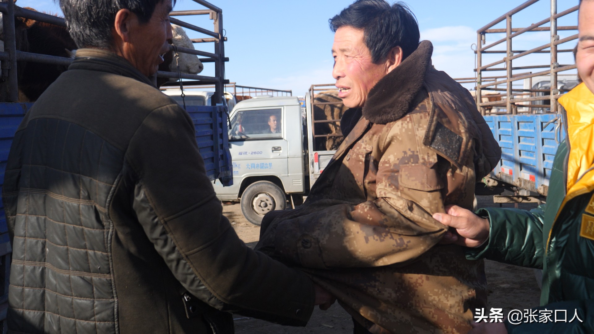 牙纪是古老的行业，在张北牲畜交易中心年轻人都在干，什么原因？