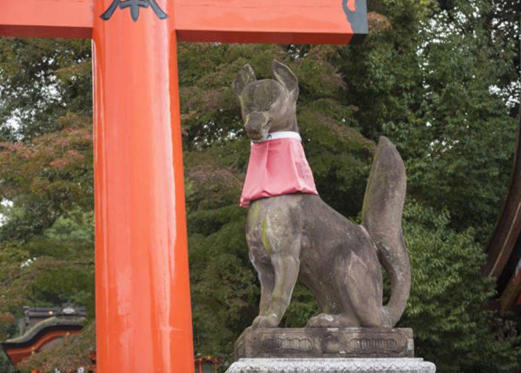 无论哪里都是朱红色鸟居的“祈愿的参道”！带你寻访伏见稻荷大社