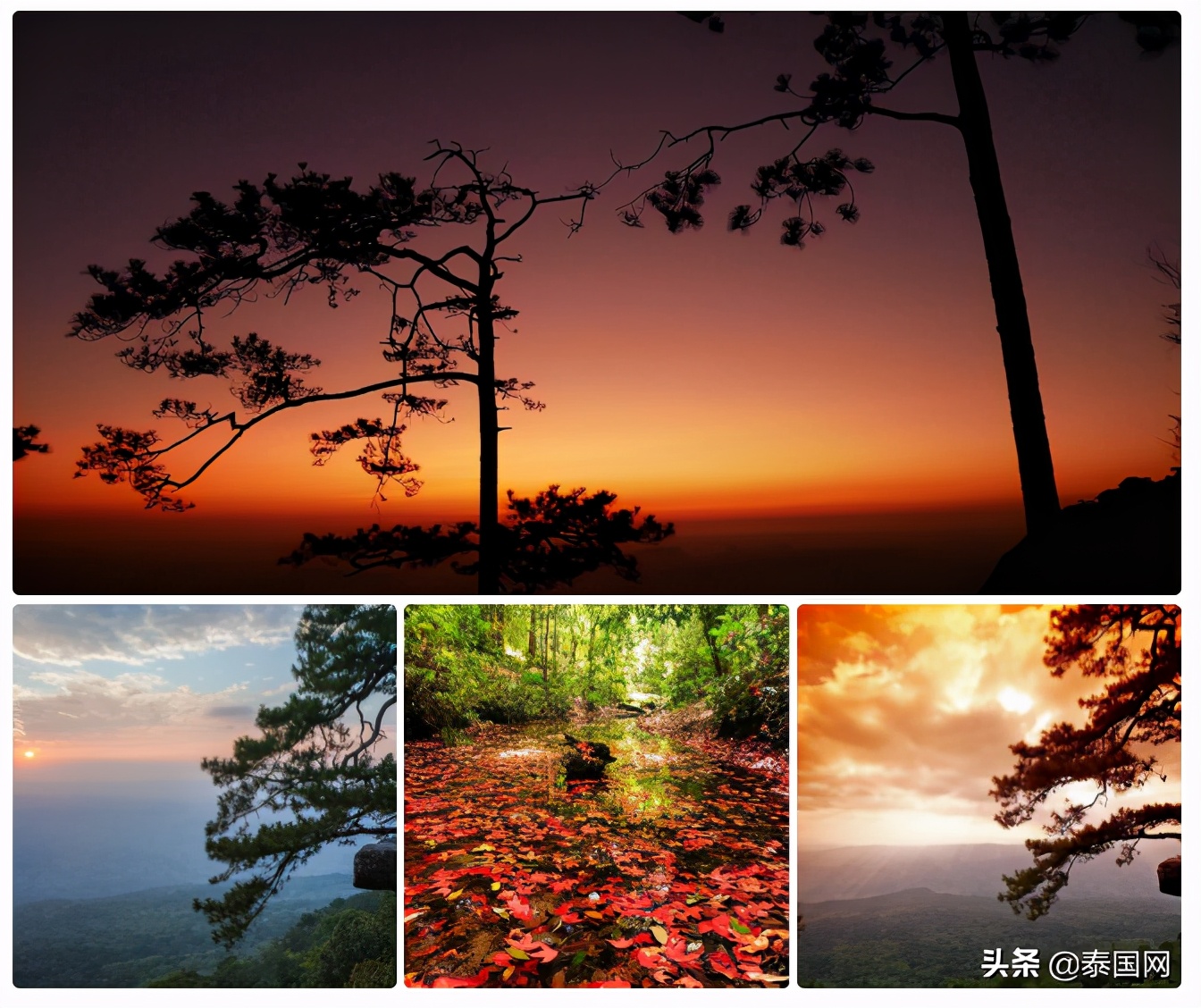 疫期旅游攻略,疫后旅游线路推荐