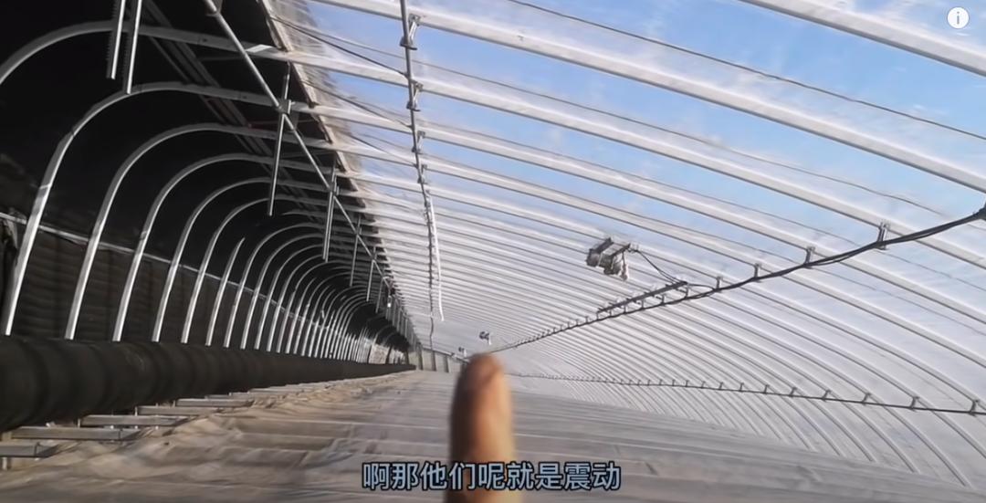 董菜菜抖音,董菜菜最新视频