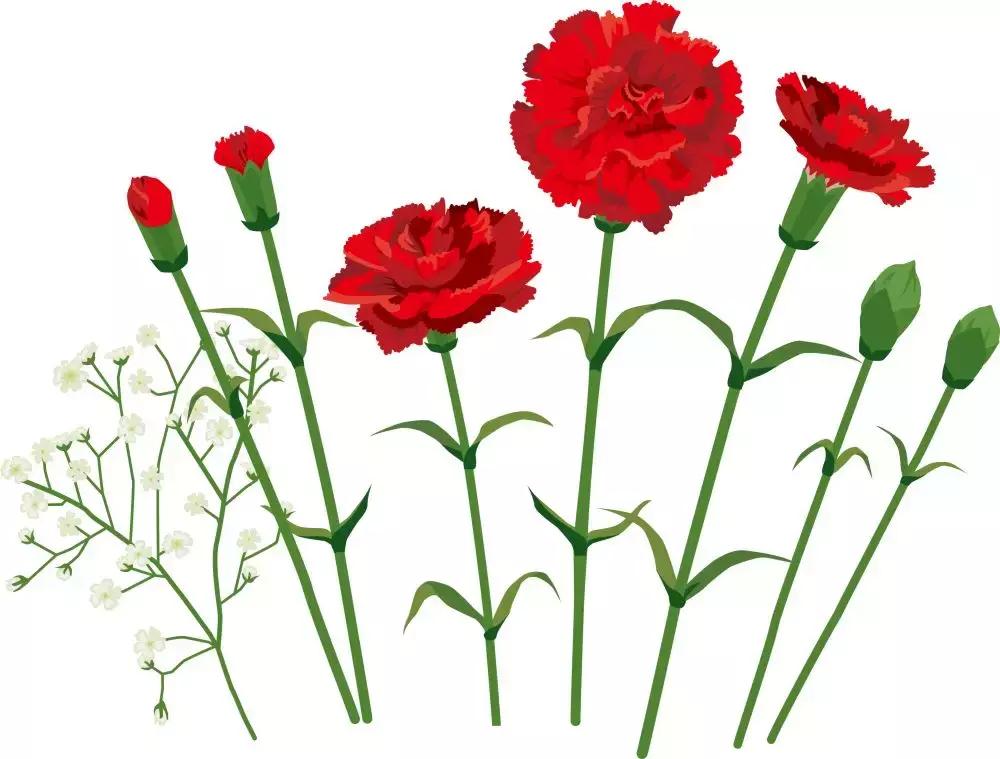 中国宫颈癌防治工程,2022中国宫颈癌防治工程学术年会