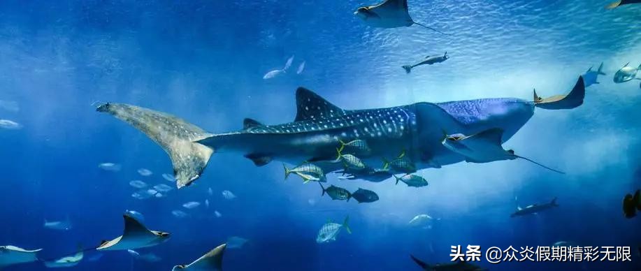 日本本州岛10大旅游攻略,日本本州景点大全