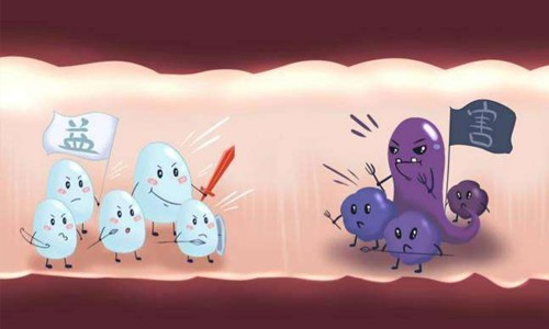 国外益生菌品牌究竟怎么选？国外益生菌哪个牌子好？