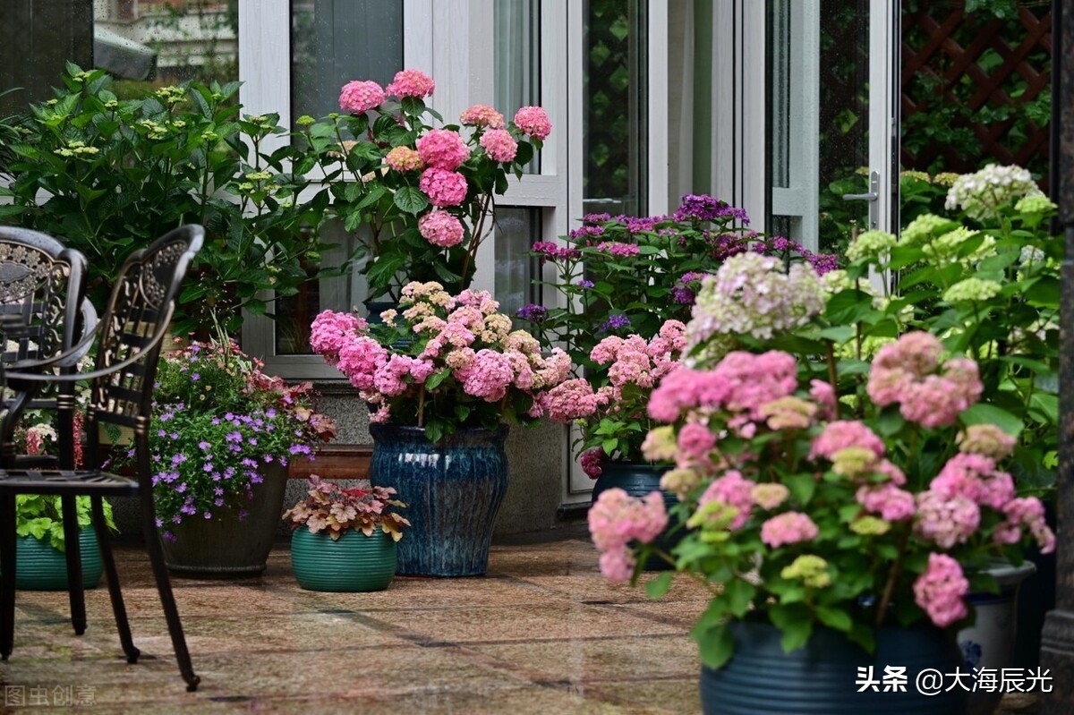 我想有个院子,我想拥有一个小院子