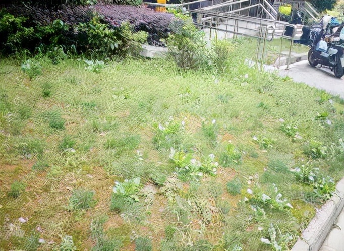 昆山绿地21城周边规划,昆山绿地第21城平面图