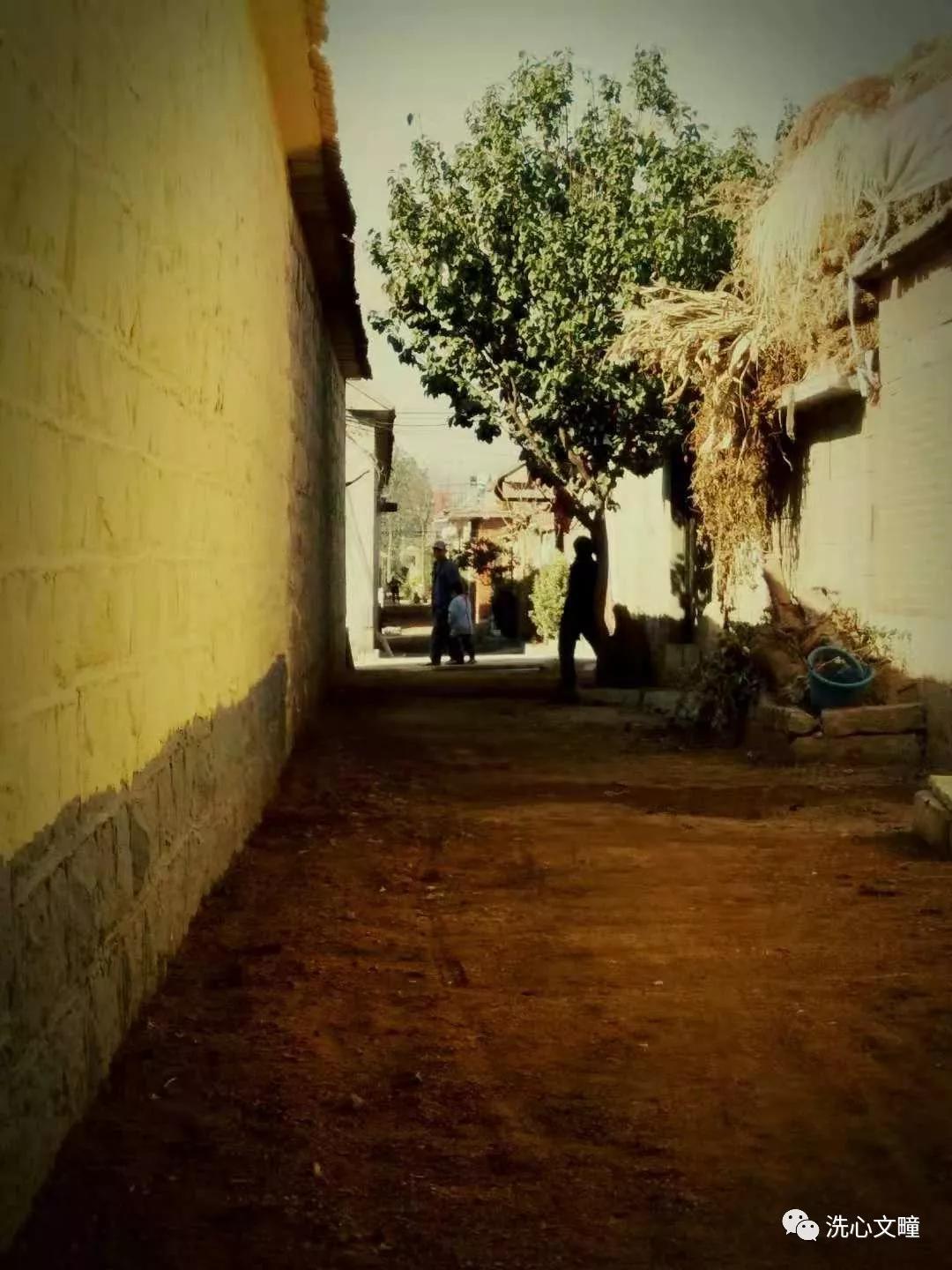 莒南县柳沟乡,莒南魏家柳沟