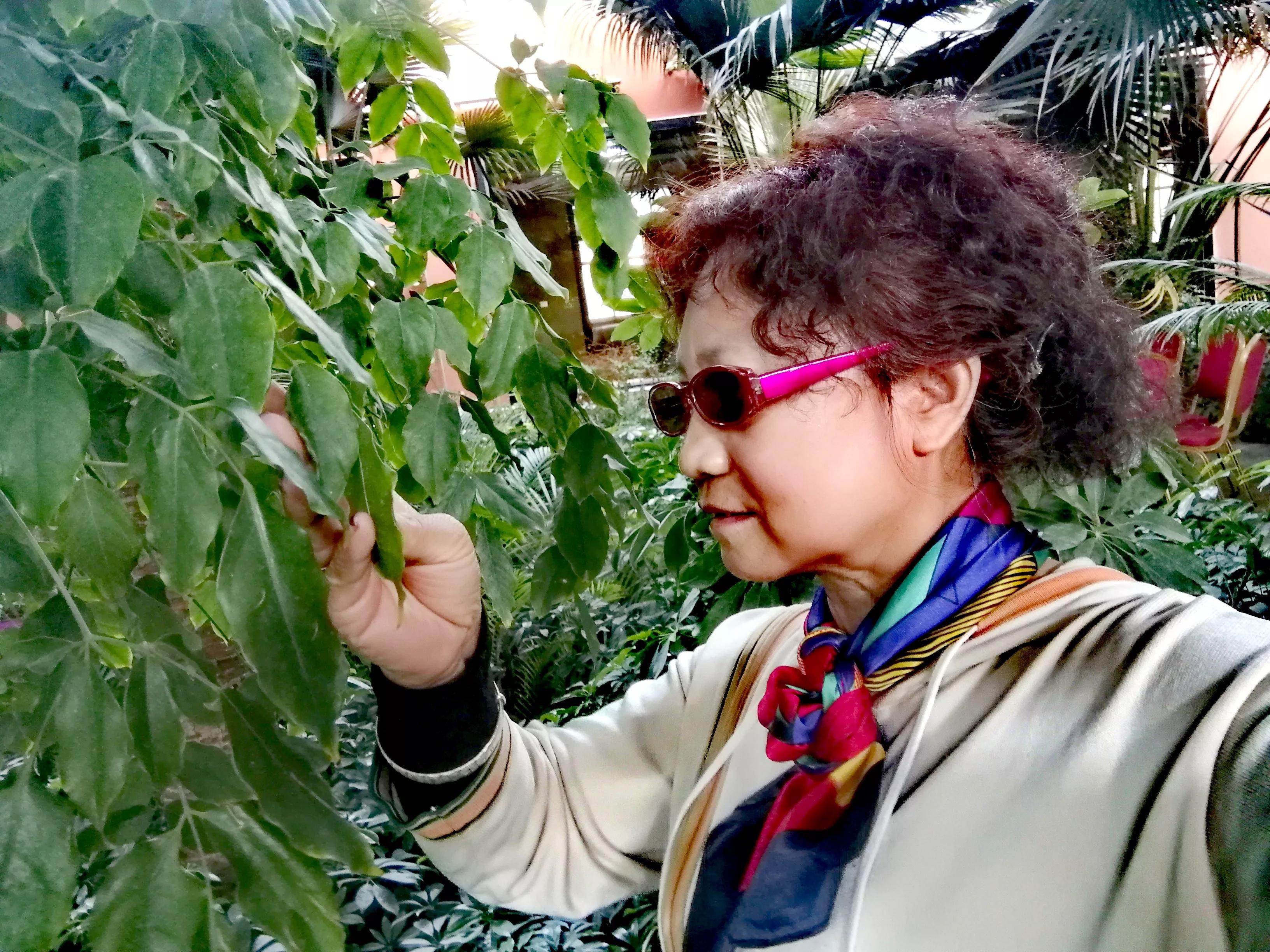 敦煌海盛山庄电话,这里是敦煌民宿