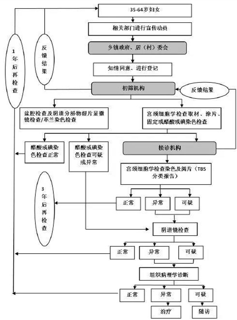 2024年昌乐两癌筛查免费时间,潍城区免费两癌筛查