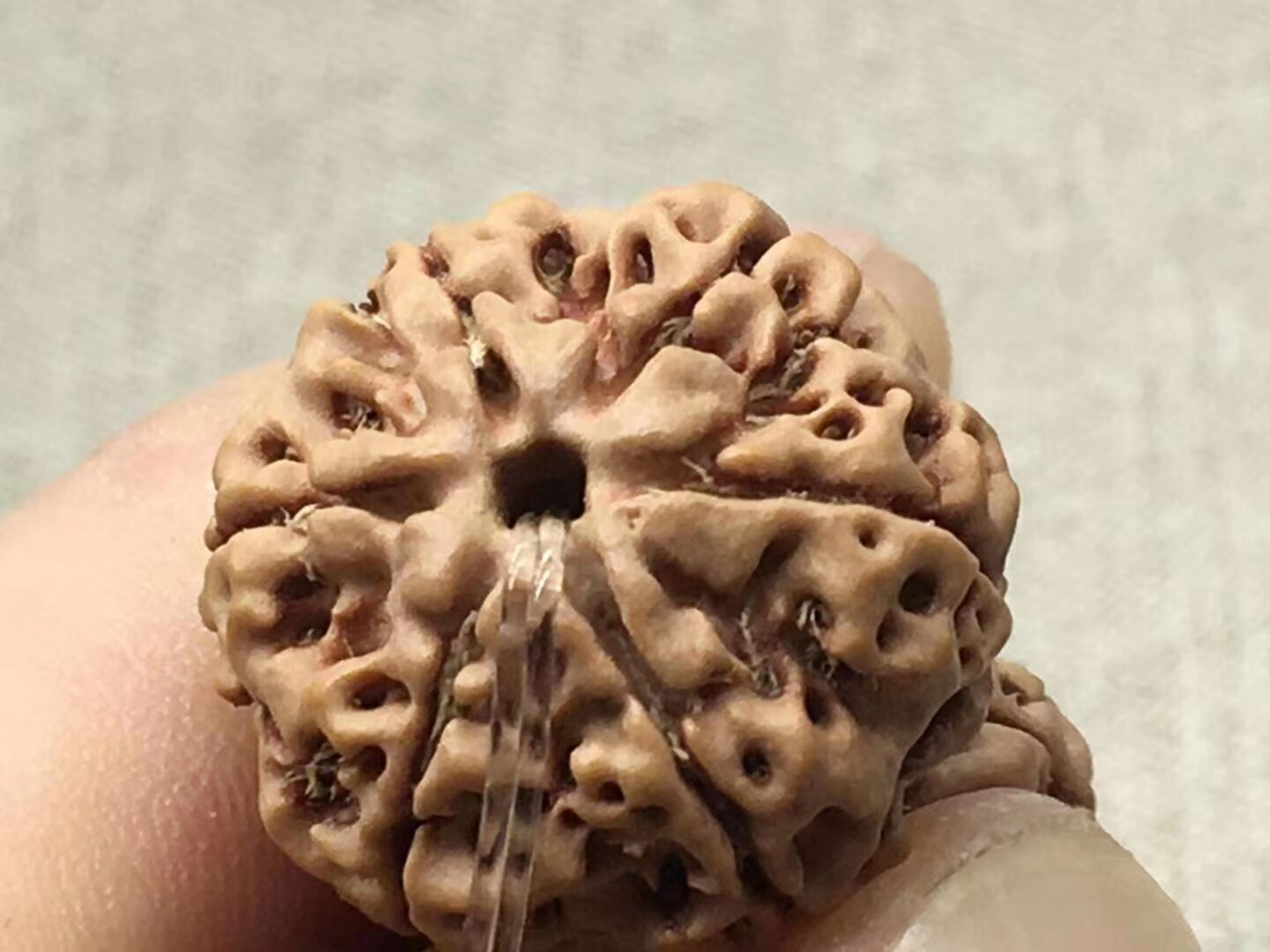 5瓣和6瓣金刚哪个值钱,金刚几瓣的最有价值