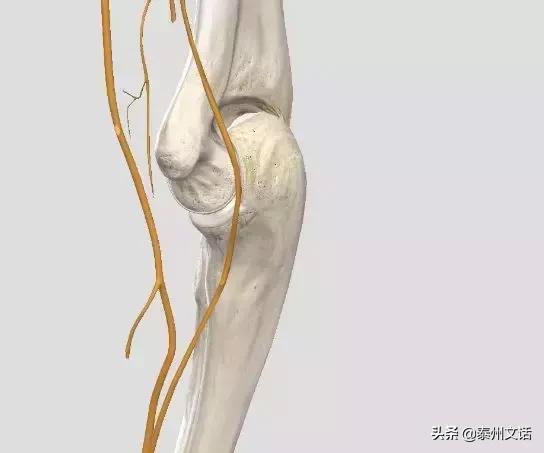 筋膜枪是什么,筋膜枪推荐排行榜前十名