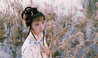 红楼梦贾宝玉人物形象分析和评价,红楼梦贾宝玉竟乞讨到袭人家门口